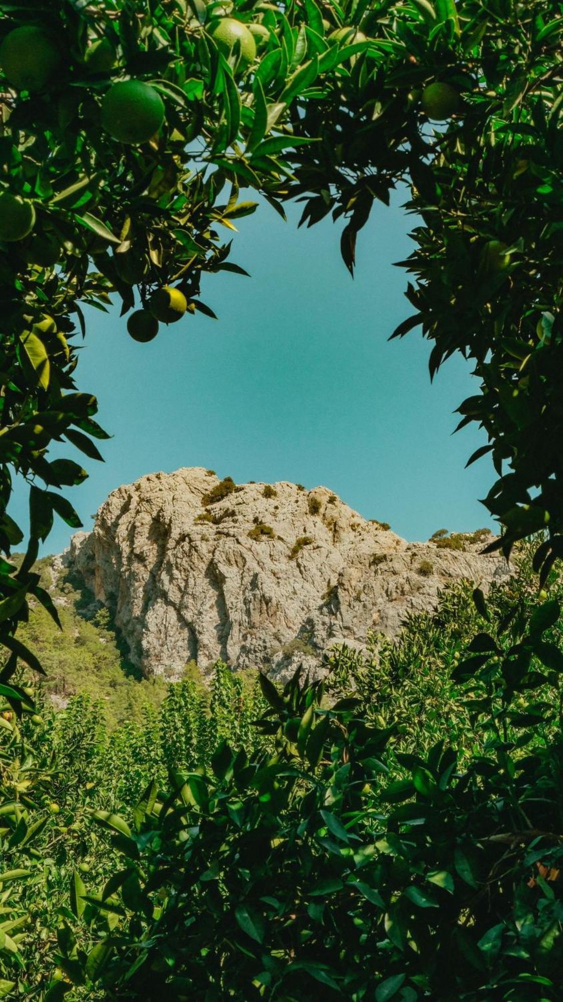 Sheriff, Olympos Kumluca Buitenkant foto